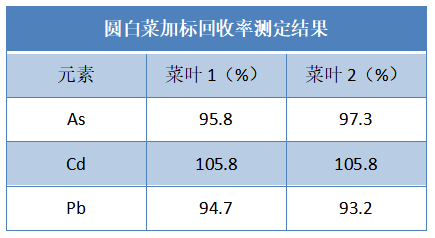圓白菜加標回收率測定結(jié)果